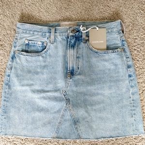 Everlane denim skirt